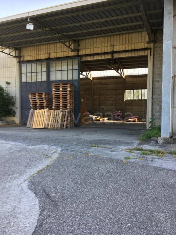 immagine annuncio 1 di 9