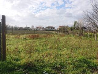 Terreno agricolo in vendita ad acerra via spiniello