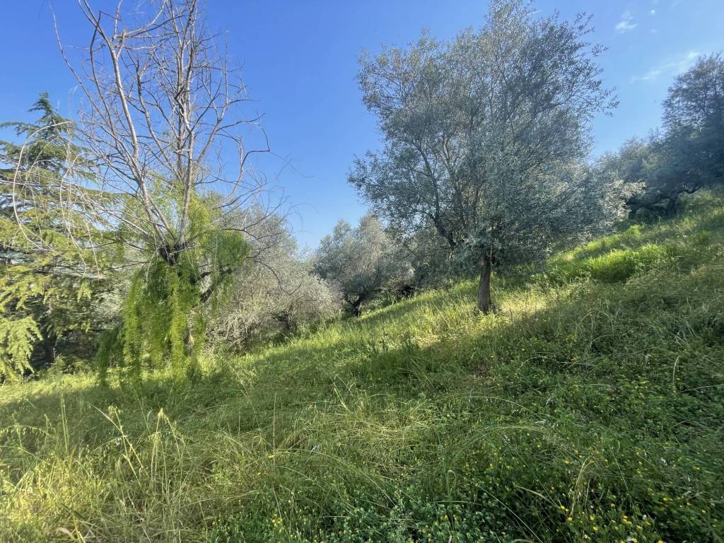 immagine annuncio 2 di 7