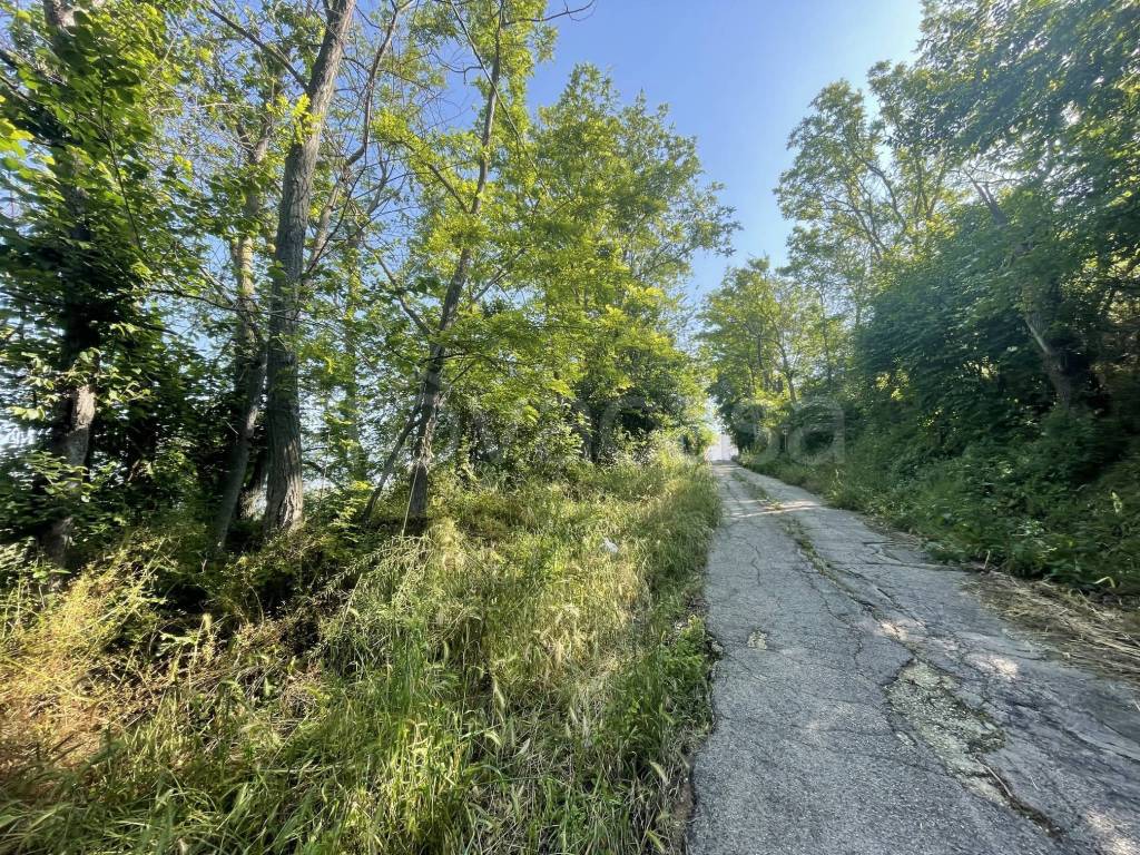 immagine annuncio 5 di 7