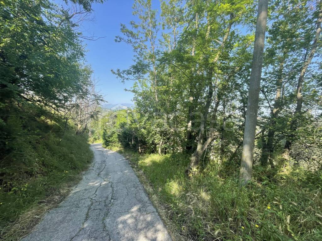 immagine annuncio 6 di 7