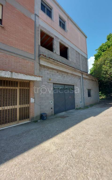 immagine annuncio 1 di 11