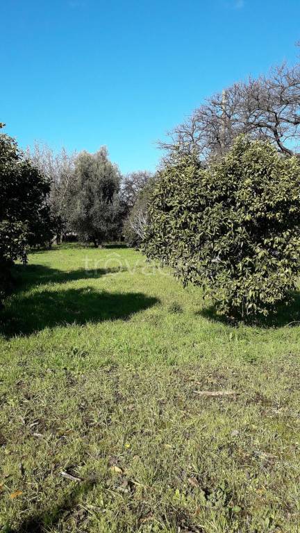 Terreno Agricolo in vendita a Pagani via Taurano