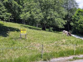 Terreno agricolo in vendita a castellamonte strada filia