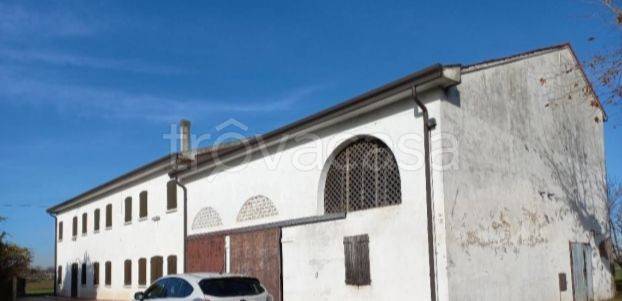 Casale in in vendita da privato a Casalserugo via Francesco Petrarca, 6