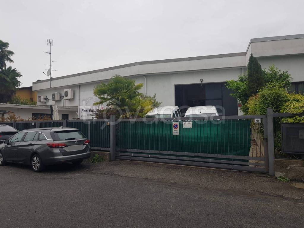 immagine annuncio 6 di 15