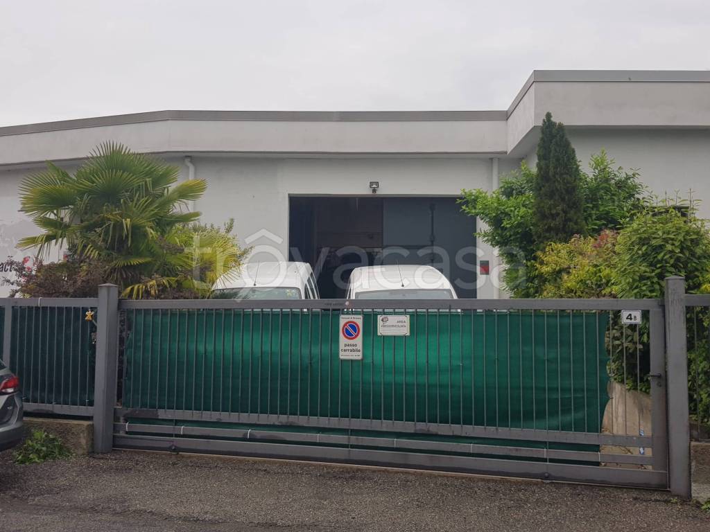 immagine annuncio 7 di 15