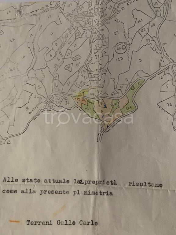 Terreno Agricolo in vendita a Bisignano contrada fraia-duglia, Snc