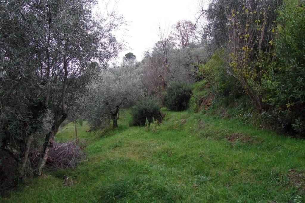 immagine annuncio 8 di 12