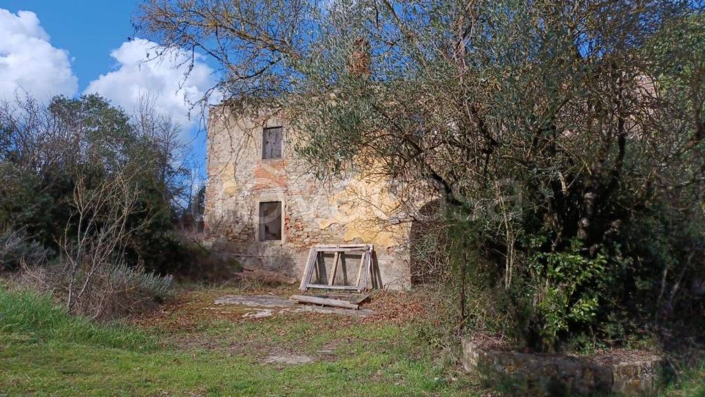 immagine annuncio 6 di 12