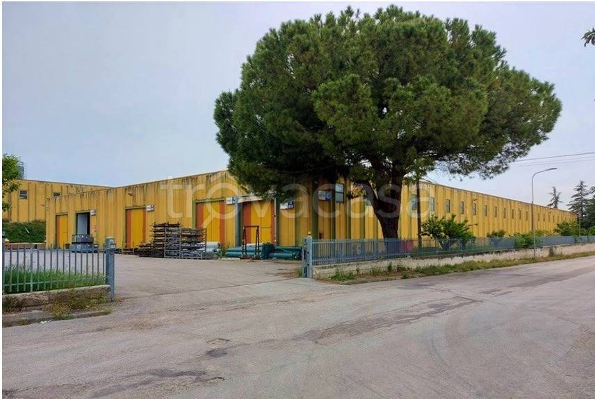 immagine annuncio 2 di 3