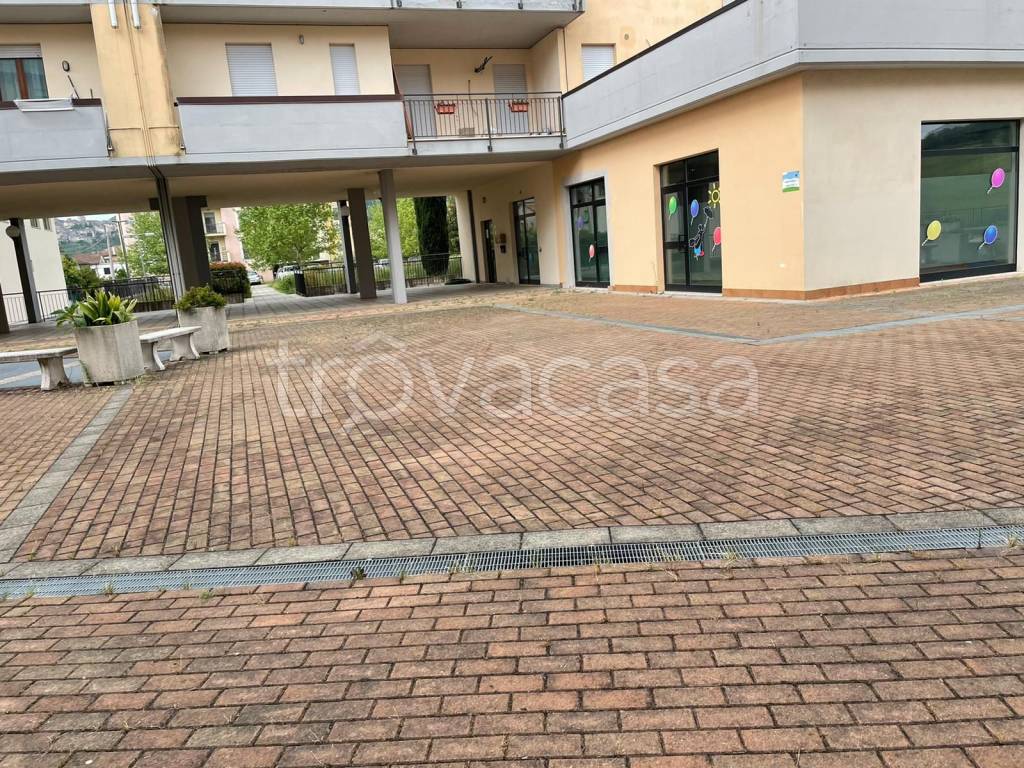 immagine annuncio 2 di 12