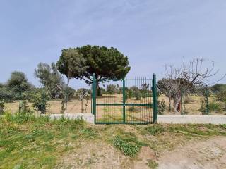 Terreno agricolo in vendita a carini via ferdinando magellano, 381