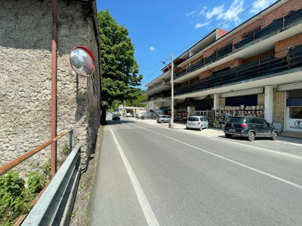 immagine annuncio 5 di 6