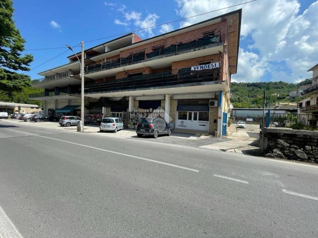 immagine annuncio 1 di 6