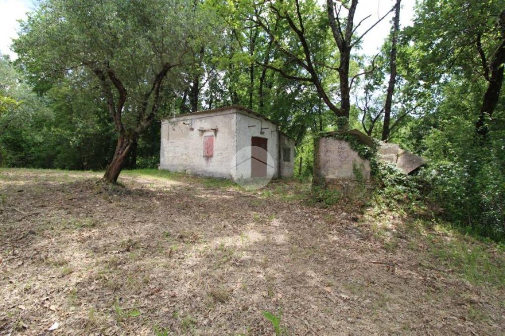 Casa Indipendente in vendita a Palombara Sabina via dei ciliegi, 8