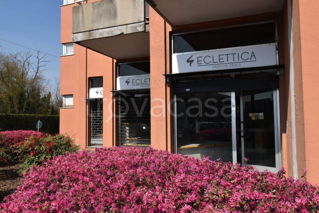 immagine annuncio 1 di 14