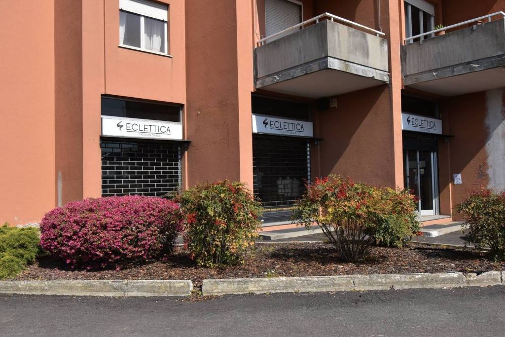 immagine annuncio 11 di 14
