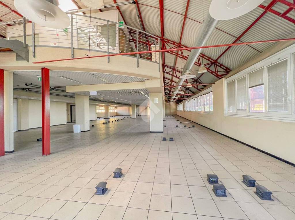 immagine annuncio 9 di 15