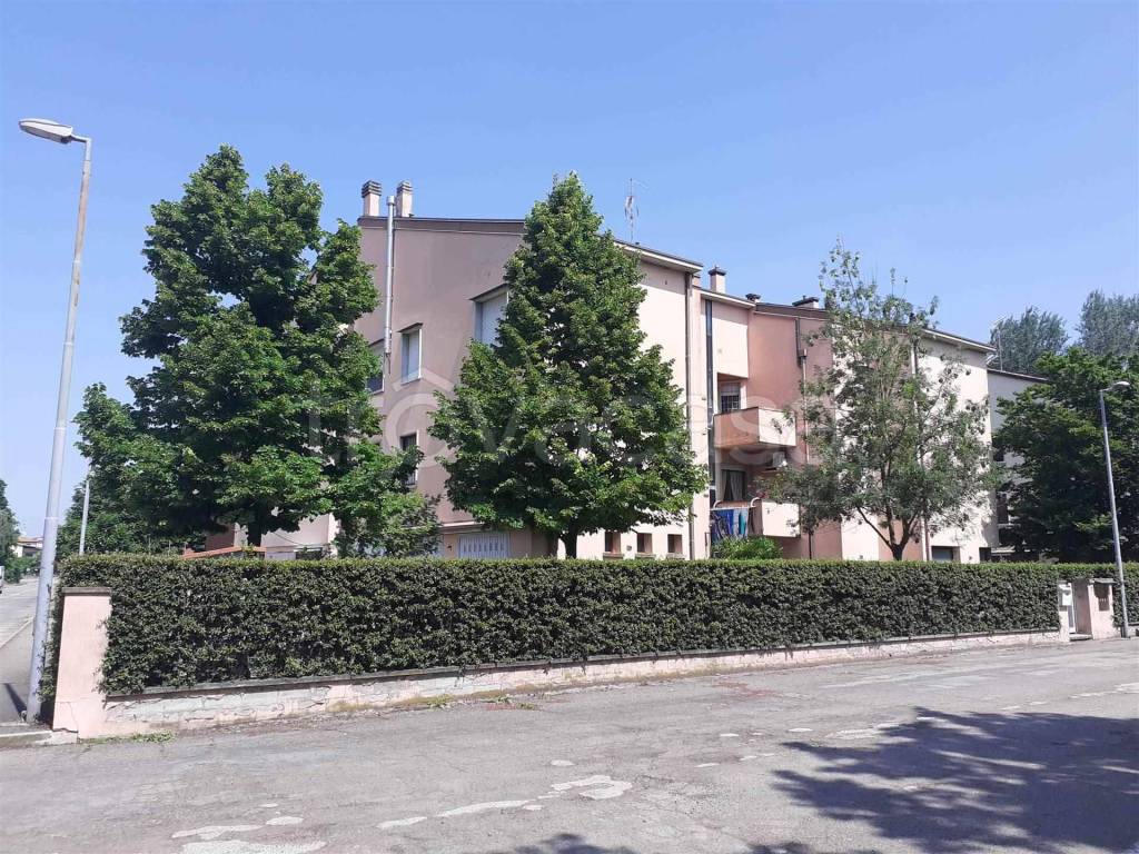 immagine annuncio 2 di 13