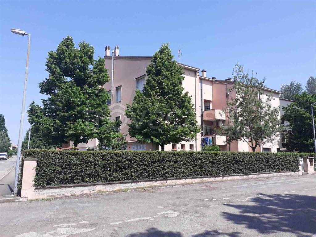 immagine annuncio 3 di 13