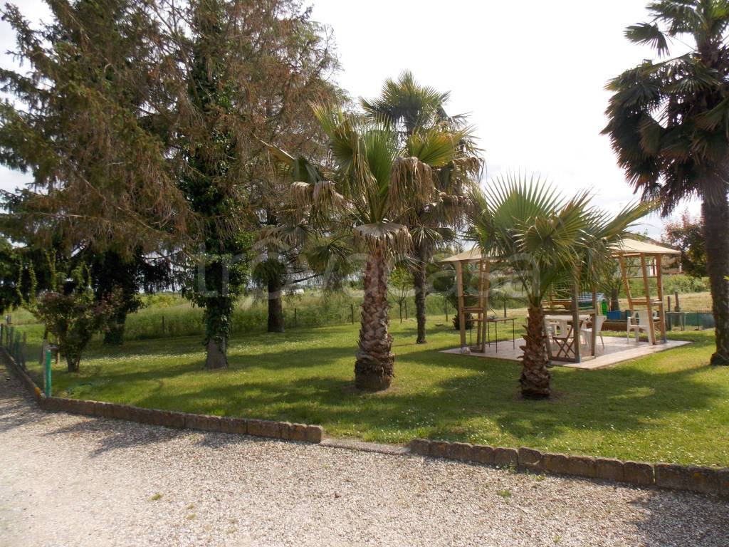 immagine annuncio 4 di 14