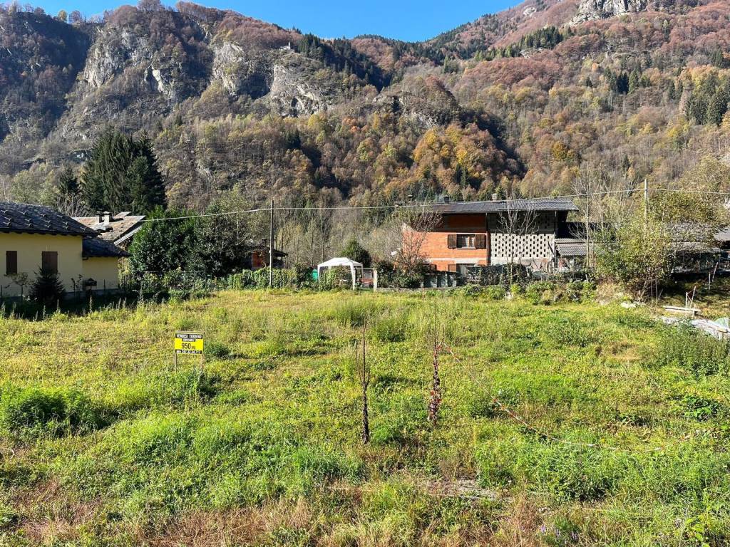 immagine annuncio 1 di 4