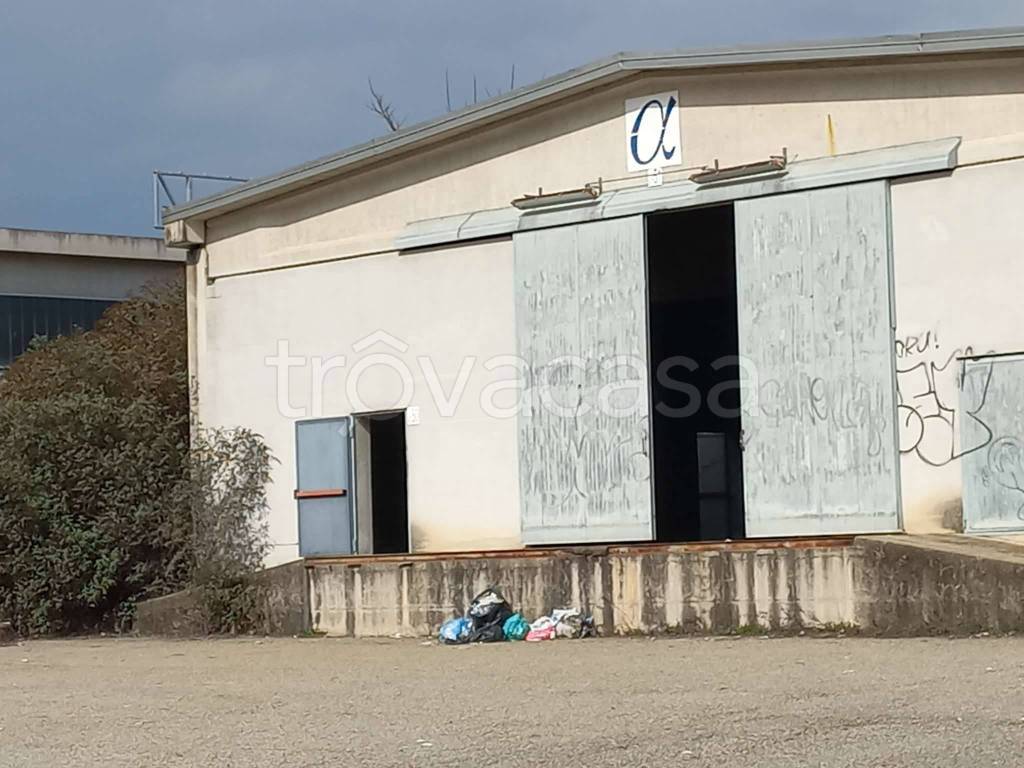 immagine annuncio 5 di 11