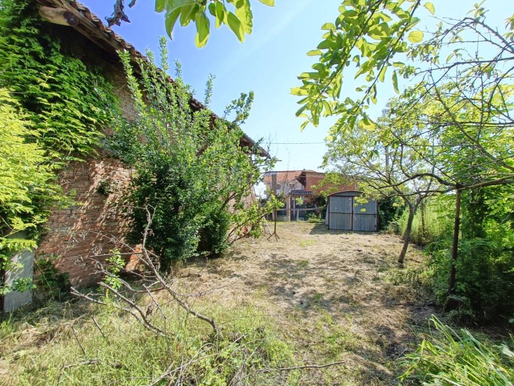 immagine annuncio 11 di 15