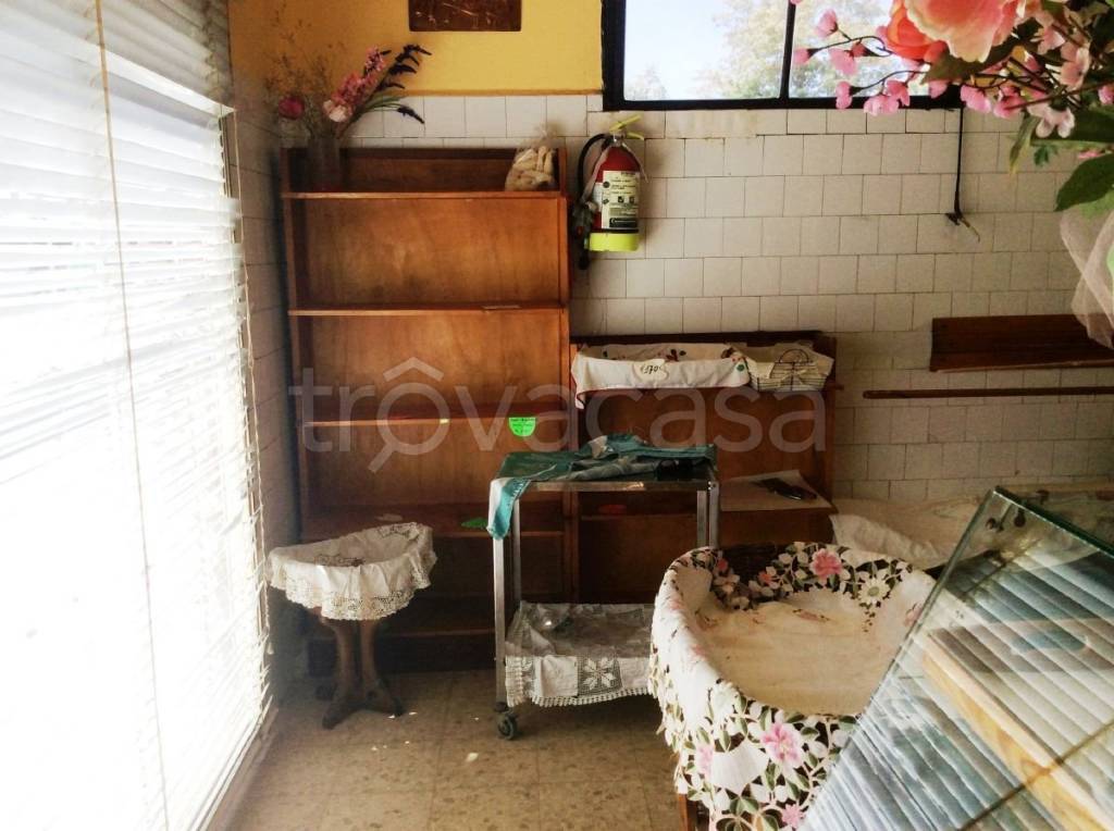 immagine annuncio 5 di 7