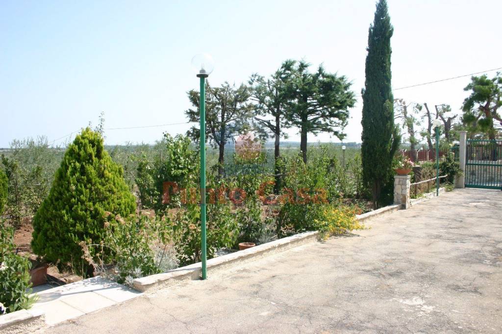immagine annuncio 4 di 8