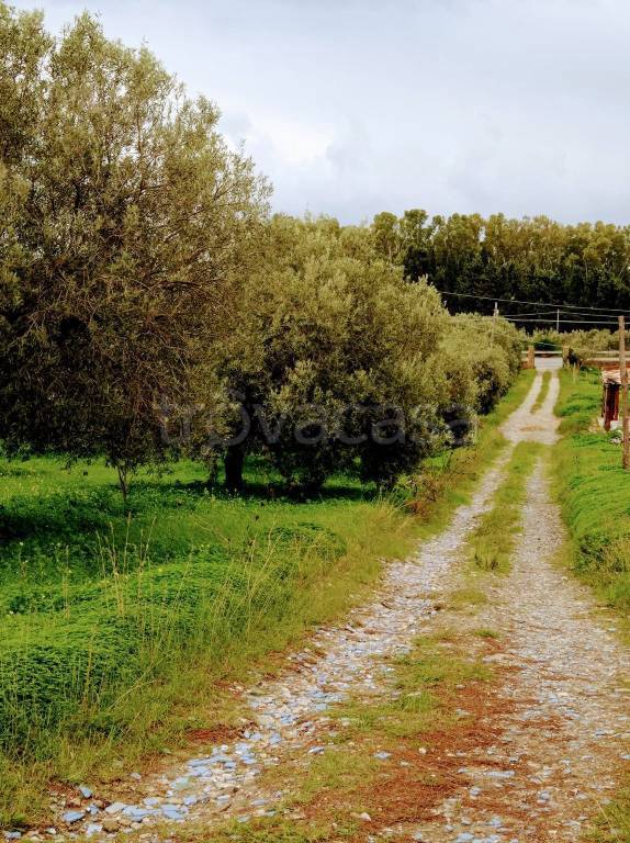 immagine annuncio 4 di 9