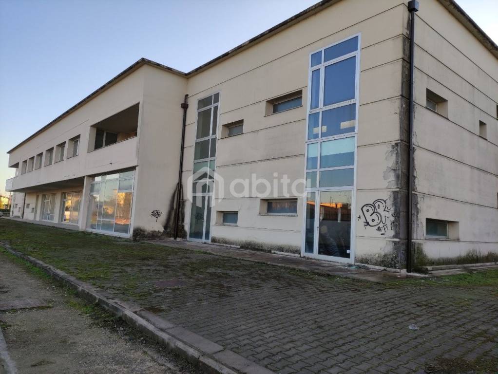immagine annuncio 4 di 11
