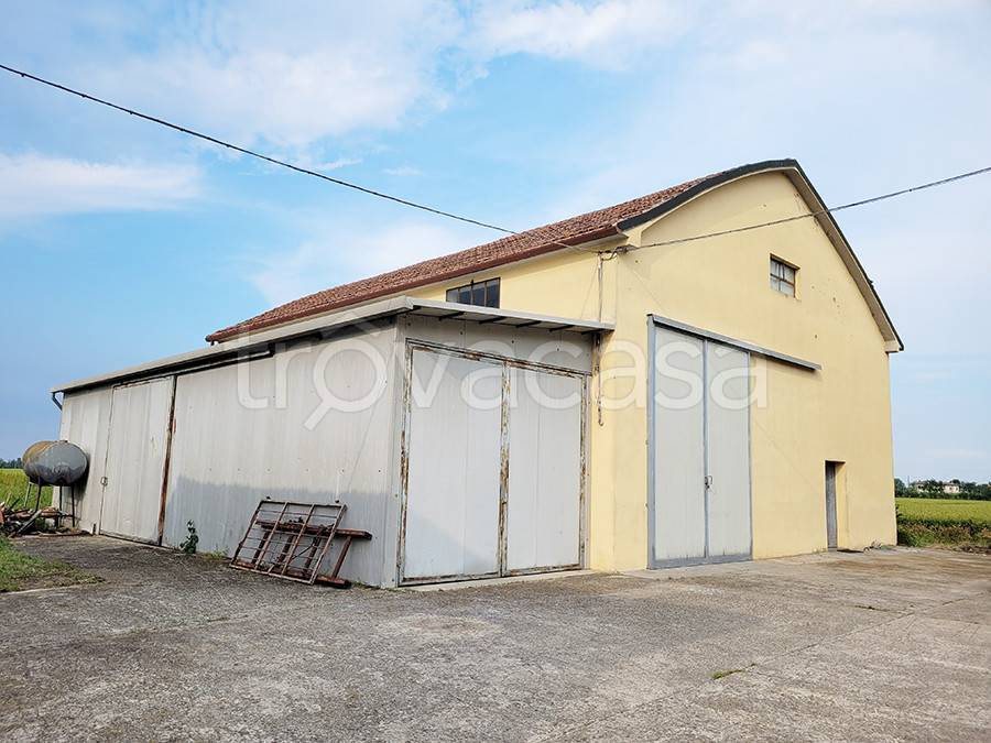 immagine annuncio 8 di 12