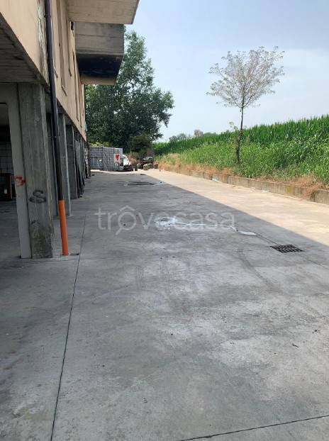 immagine annuncio 2 di 6