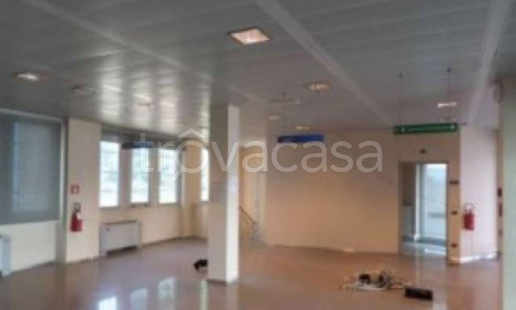 immagine annuncio 2 di 6