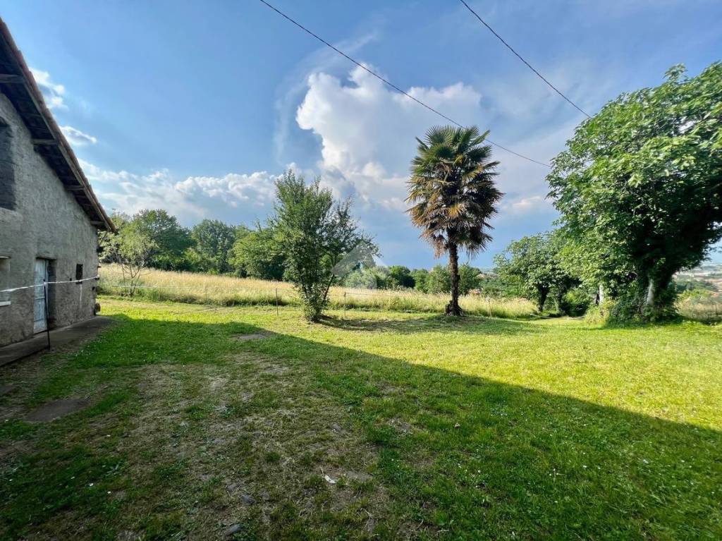 immagine annuncio 4 di 12