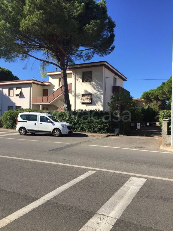Appartamento in in vendita da privato a Rosignano Marittimo via Pozzuolo, 12