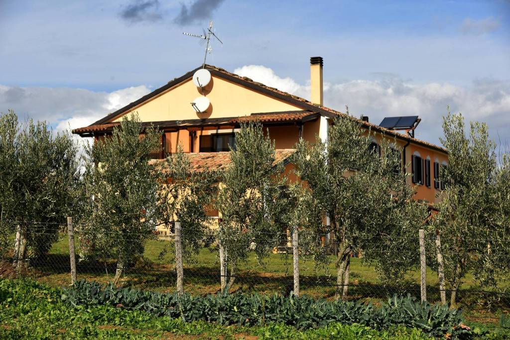 Terreno Agricolo in vendita a Calvello contrada Sant'Elia