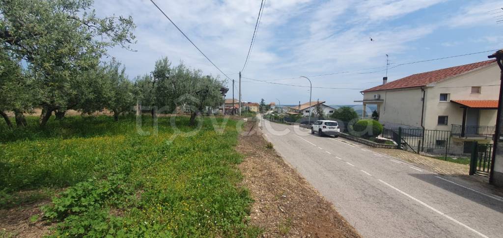 immagine annuncio 1 di 9