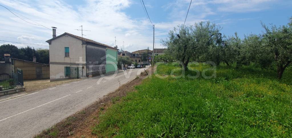 immagine annuncio 3 di 9