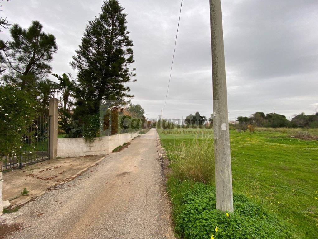 immagine annuncio 1 di 6