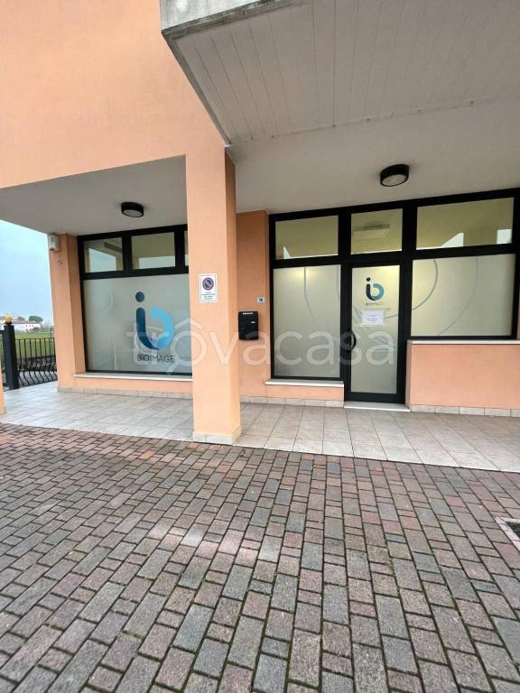 Agenzia Viaggi e Turismo in affitto a Villafranca Padovana via Piazzola, 44