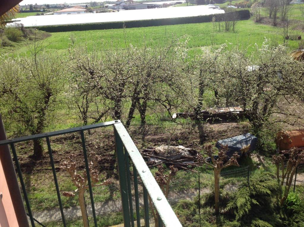 immagine annuncio 6 di 14