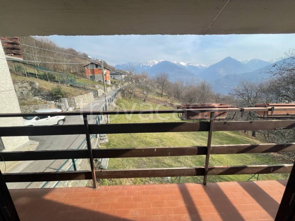 immagine annuncio 10 di 14