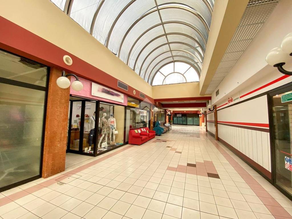 immagine annuncio 9 di 12