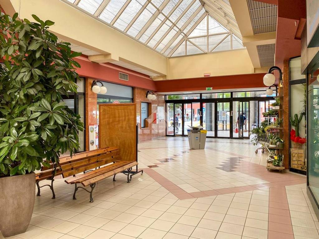 immagine annuncio 7 di 12