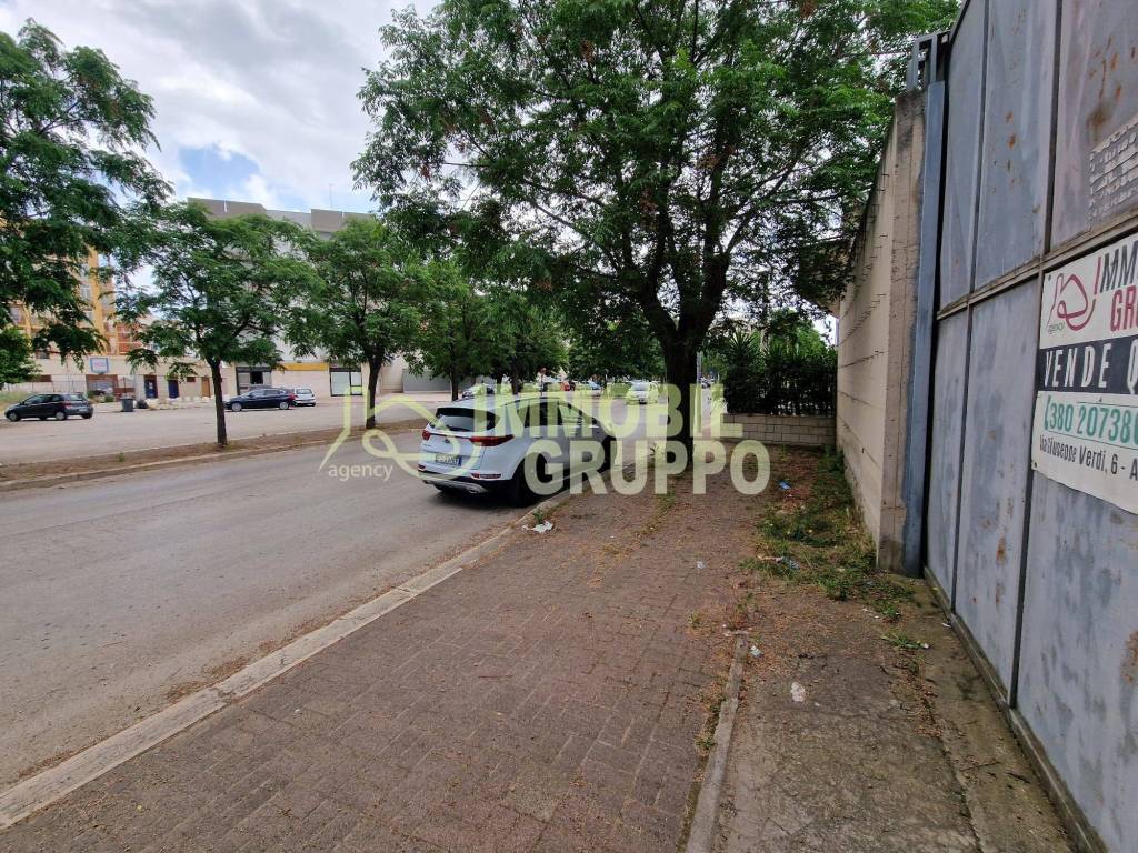 immagine annuncio 3 di 6