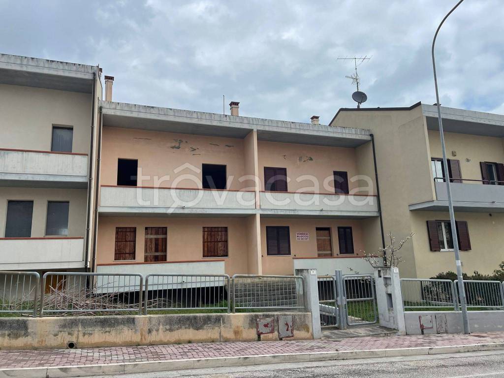 immagine annuncio 1 di 13