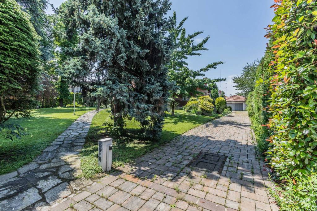 immagine annuncio 12 di 15